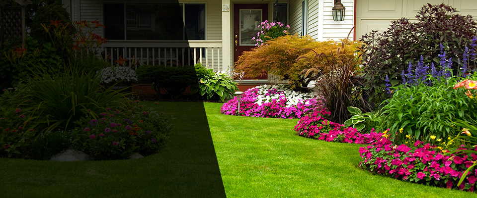 Morehead City Landscapers