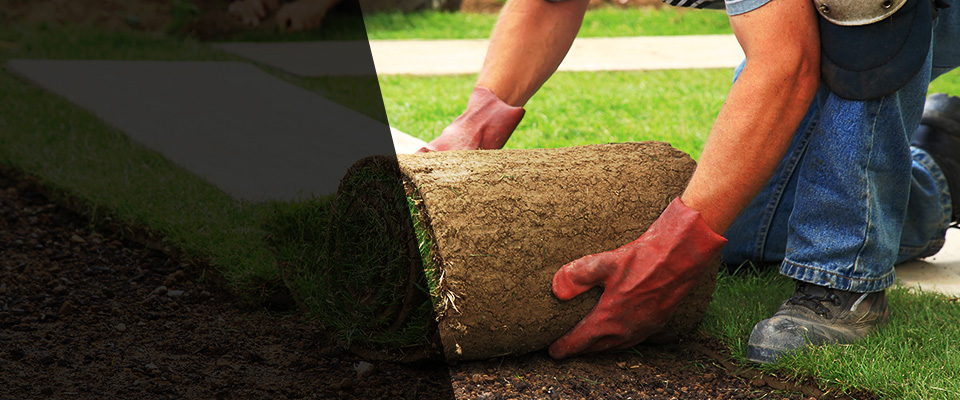 Morehead City Landscapers